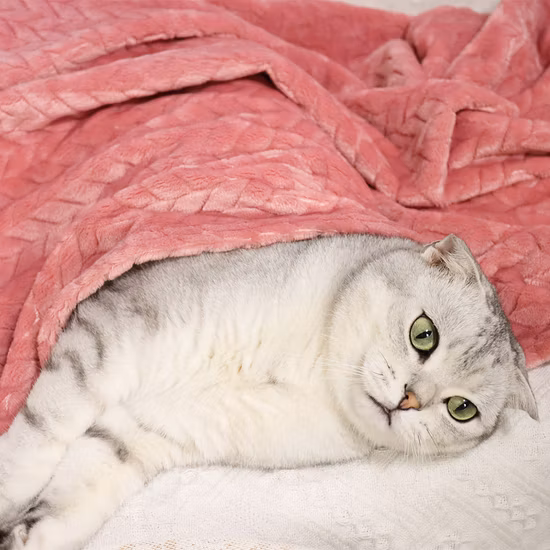 Cobertor para animais de estimação de vários tamanhos de pelúcia quente premium para cães e gatos