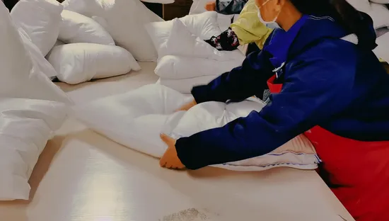 Fabricante atacado 100% algodão orgânico casca de ganso / pena de pato preenchido com qualidade premium tamanho padrão cama de hotel travesseiro de dormir em embalagem a vácuo